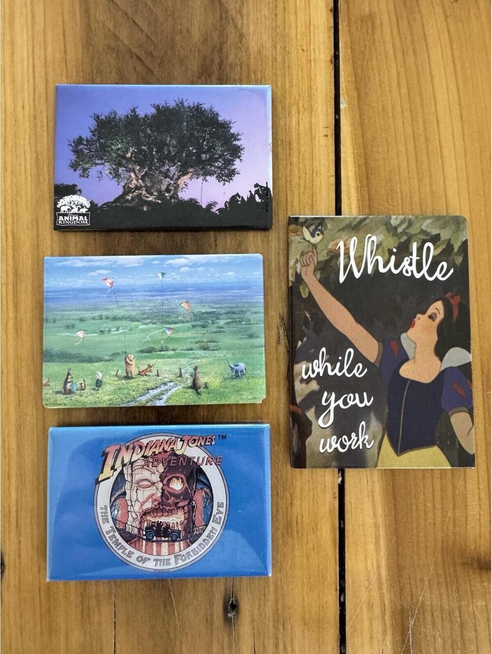collection of Disney Parks and Studio Ghibli-themed souvenir magnets